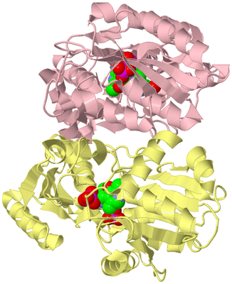 Image Biological Unit 2