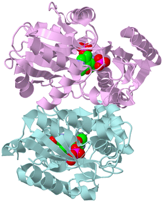 Image Biological Unit 3