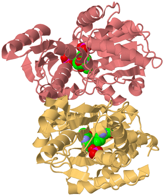 Image Biological Unit 4