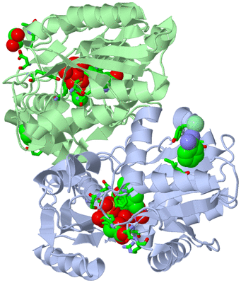 Image Biol. Unit 1 - sites