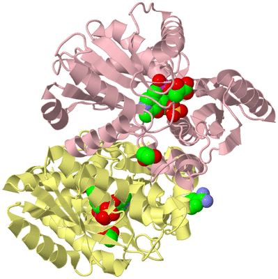 Image Biological Unit 2