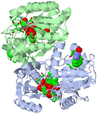 Image Biol. Unit 1 - sites