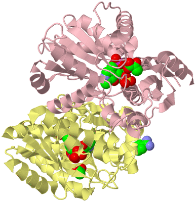 Image Biological Unit 2