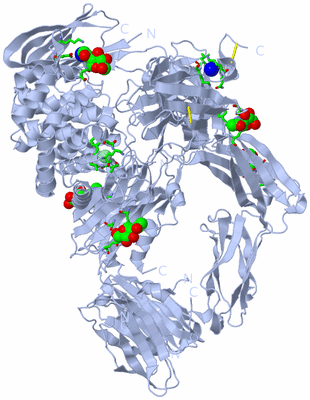 Image Biol. Unit 1 - sites