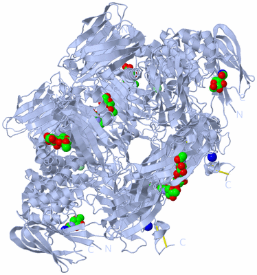 Image Biological Unit 2