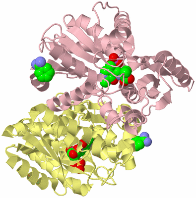 Image Biological Unit 2