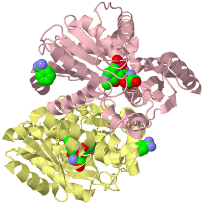 Image Biological Unit 2