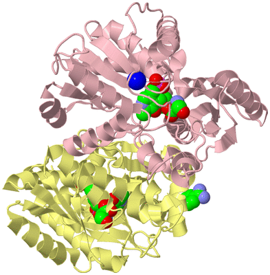 Image Biological Unit 2