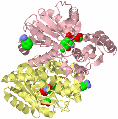 Image Biological Unit 2