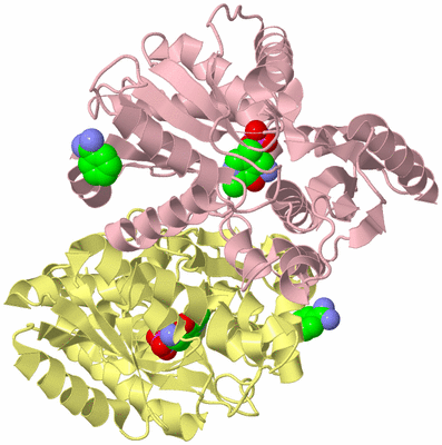 Image Biological Unit 2