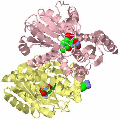 Image Biological Unit 2