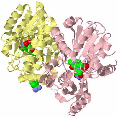 Image Biological Unit 2