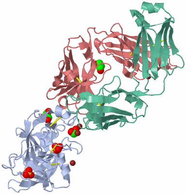 Image Biological Unit 1