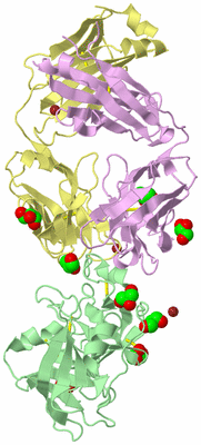 Image Biological Unit 2