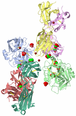 Image Biological Unit 3