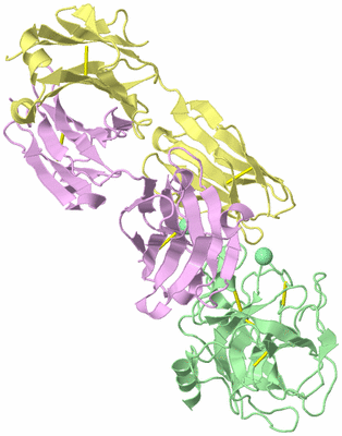 Image Biological Unit 2