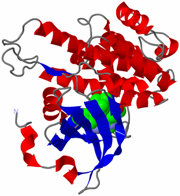 Image Asymmetric Unit