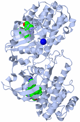 Image Biological Unit 2