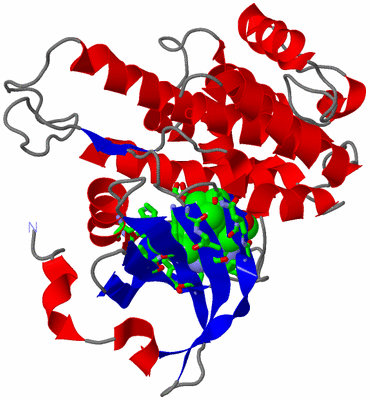 Image Asym. Unit - sites
