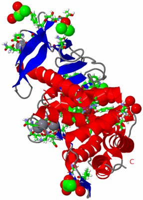 Image Asym./Biol. Unit - sites