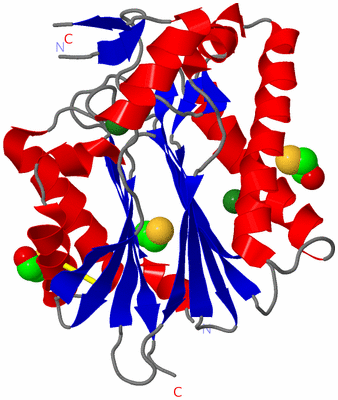 Image Asym./Biol. Unit