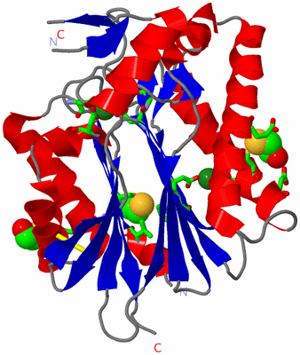 Image Asym./Biol. Unit - sites