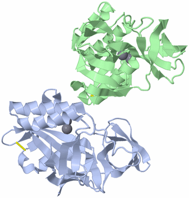 Image Asymmetric Unit