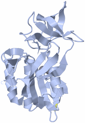 Image Biological Unit 1