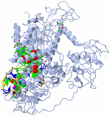 Image Biol. Unit 1 - sites