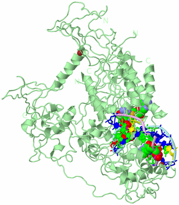 Image Biological Unit 2