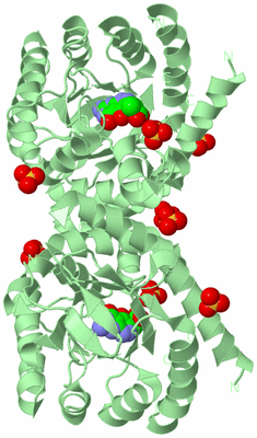 Image Biological Unit 2