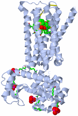 Image Biol. Unit 1 - sites