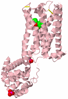 Image Biological Unit 3