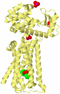 Image Biological Unit 4