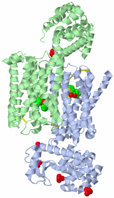 Image Biological Unit 5