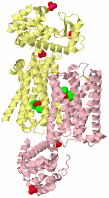 Image Biological Unit 6