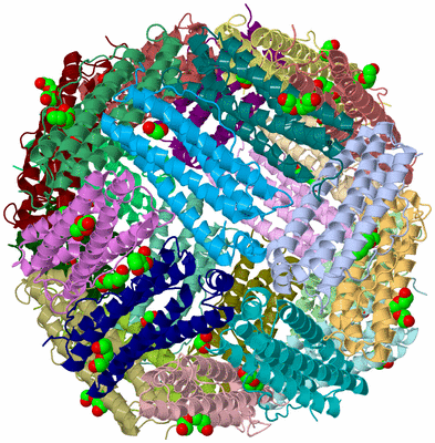 Image Asym./Biol. Unit