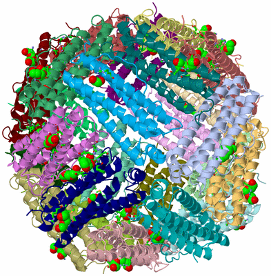 Image Asym./Biol. Unit - sites