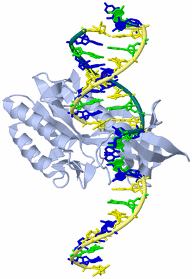 Image Biological Unit 1