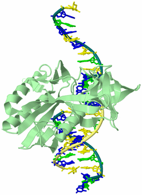 Image Biological Unit 2