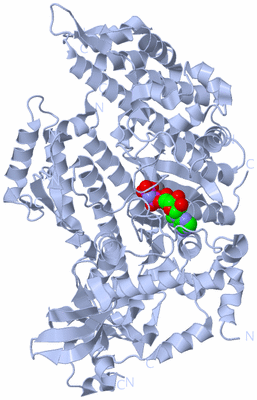 Image Biological Unit 1