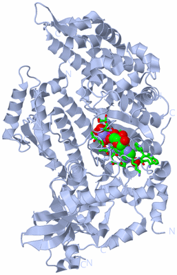 Image Biol. Unit 1 - sites