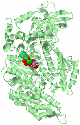 Image Biological Unit 2