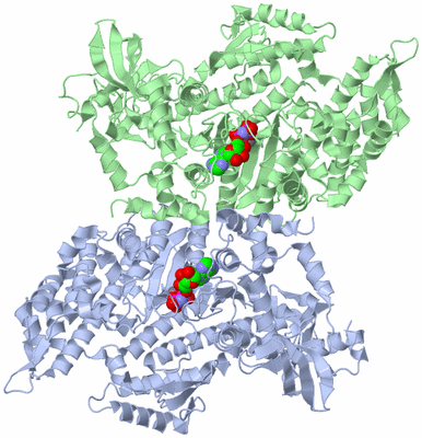 Image Biological Unit 3