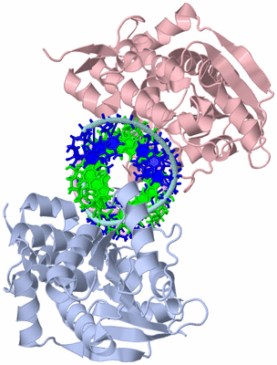 Image Biological Unit 1