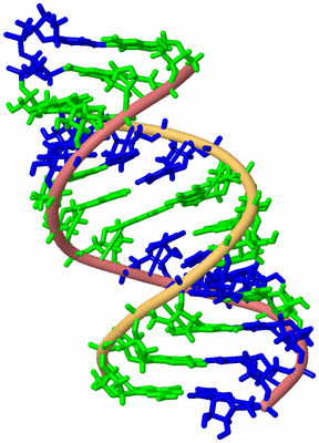 Image Biological Unit 3