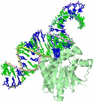 Image Biological Unit 2