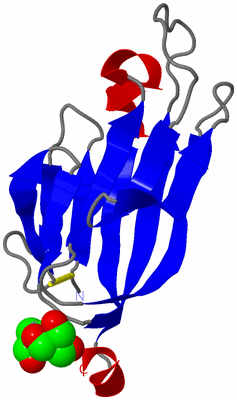 Image Asymmetric Unit