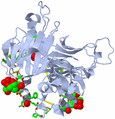 Image Biol. Unit 1 - sites