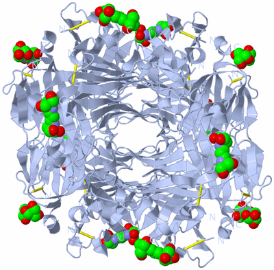 Image Biological Unit 2